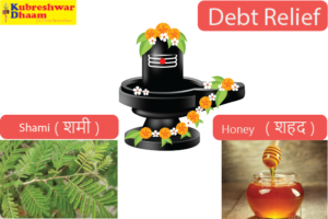 Explore Pandit Pradeep Mishra’s powerful debt relief